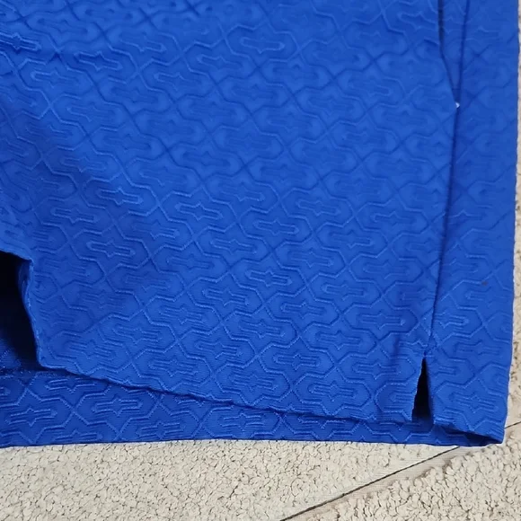 Banana Republic Women's Vibrant Cobalt Blue Textured Shorts Size 10 - Picture 5 of 8